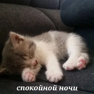 альее4 sticker 3