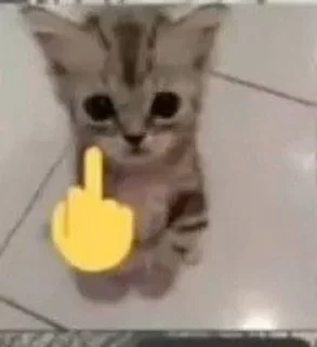 🖕 emoji чума волосатая Telegram sticker 16 of 71