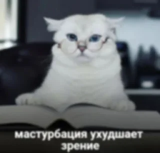 🤓 emoji чума волосатая Telegram sticker 11 of 71