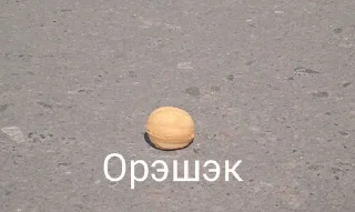 🌰 emoji Есть 7 рублей? Telegram sticker 17 of 34