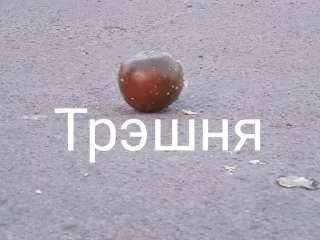👩‍❤️‍👩 emoji Есть 7 рублей? Telegram sticker 16 of 34