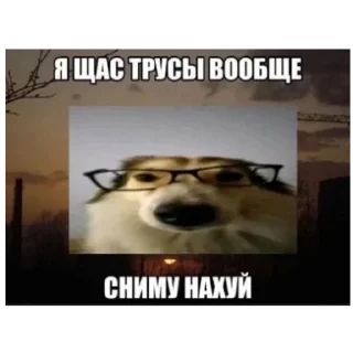 😳 emoji Невилетт мой папа @piemix Telegram sticker 15 of 30