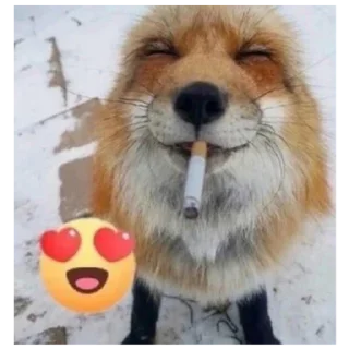 😍 emoji Невилетт мой папа @piemix Telegram sticker 16 of 30