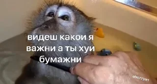 🤩 emoji Квезерт чат наху @TgEmodziBot Telegram sticker 14 of 92