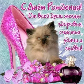 Павапеве sticker 1