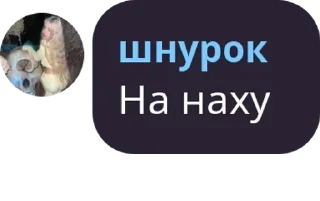 🧑‍💻 emoji Онли писи pack by @QuotLyBot Telegram sticker 16 of 120