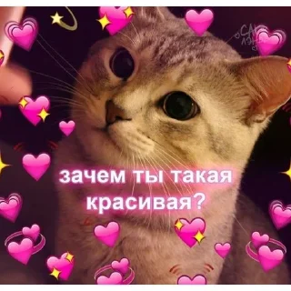 💘 emoji love you my baby Telegram sticker 2 of 92