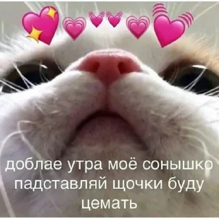 💘 emoji love you my baby Telegram sticker 3 of 92
