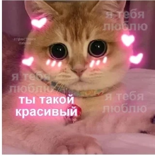 💘 emoji love you my baby Telegram sticker 5 of 92