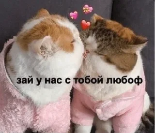 💘 emoji love you my baby Telegram sticker 7 of 92