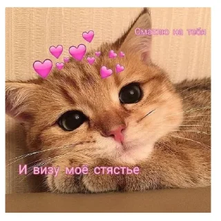 💘 emoji love you my baby Telegram sticker 6 of 92