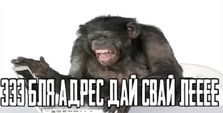🌟 emoji Бананчики Telegram sticker 19 of 81