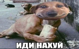 😍 emoji Бананчики Telegram sticker 5 of 81