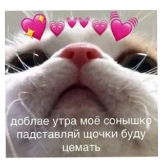 ✋ emoji Смешное#Мемы Telegram sticker 11 of 15