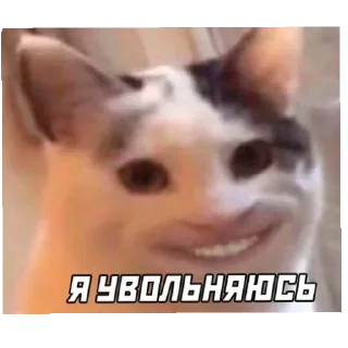 🤲 emoji Смешное#Мемы Telegram sticker 14 of 15
