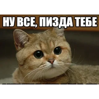 👏 emoji Смешное#Мемы Telegram sticker 2 of 15