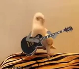 🎸 emoji Бурда/by БанХаммер Telegram sticker 8 of 50