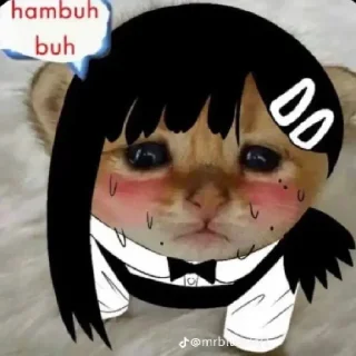 🙁 emoji Nig🥶gers Telegram sticker 19 of 23