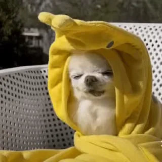 🥱 emoji Бурда/by БанХаммер Telegram sticker 22 of 50