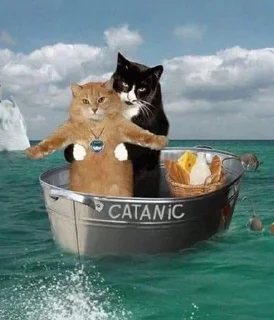 Sticker from Meow