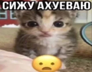 🌟 emoji милаша лол Telegram sticker 24 of 26