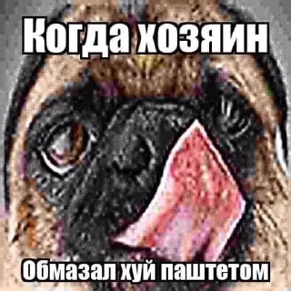Sticker from Обычная ХЗ💀💀💀