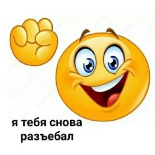 СучкаБичес228 sticker 4