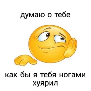 СучкаБичес228 sticker 3