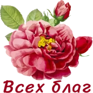 🤩 emoji Больше стикеров тут: @stikery_emodzi_memy Telegram sticker 5 of 50
