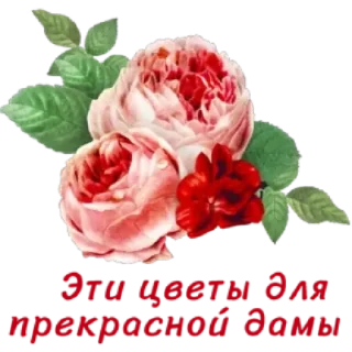 🤩 emoji Больше стикеров тут: @stikery_emodzi_memy Telegram sticker 8 of 50