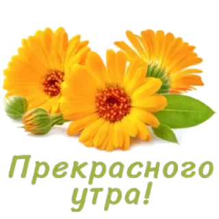 🤩 emoji Больше стикеров тут: @stikery_emodzi_memy Telegram sticker 18 of 50