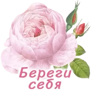 🤩 emoji Больше стикеров тут: @stikery_emodzi_memy Telegram sticker 9 of 50