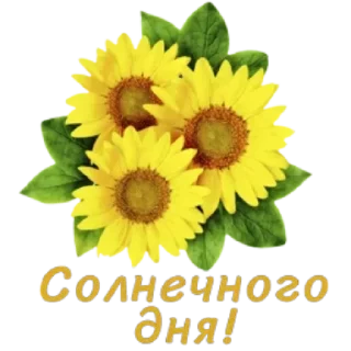 🤩 emoji Больше стикеров тут: @stikery_emodzi_memy Telegram sticker 15 of 50