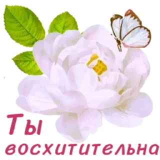 🤩 emoji Больше стикеров тут: @stikery_emodzi_memy Telegram sticker 16 of 50
