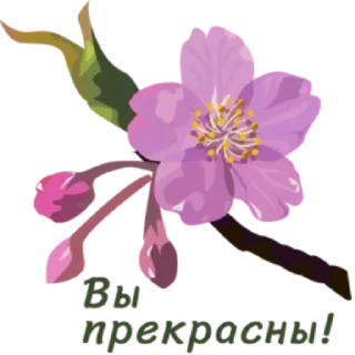 🤩 emoji Больше стикеров тут: @stikery_emodzi_memy Telegram sticker 21 of 50