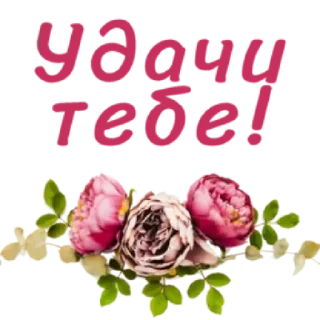 🤩 emoji Больше стикеров тут: @stikery_emodzi_memy Telegram sticker 12 of 50