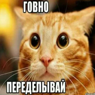 👎 emoji кринжовые стикеры от @V4L3R4GL4D14T0R Telegram sticker 14 of 120