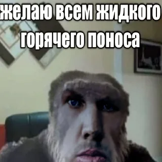🐵 emoji кринжовые стикеры от @V4L3R4GL4D14T0R Telegram sticker 6 of 120