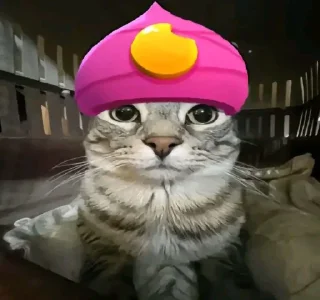 🤩 emoji Никита ебалай @TgEmodziBot Telegram sticker 15 of 119