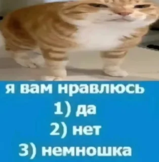 🤩 emoji Никита ебалай @TgEmodziBot Telegram sticker 16 of 119