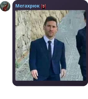 🥼 emoji донеркебабначо pack by @QuotLyBot Telegram sticker 22 of 120
