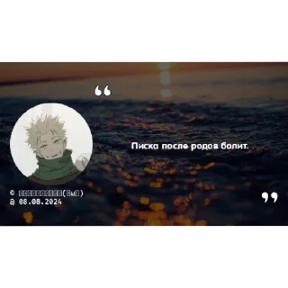 Sticker from ЦИТАТЫ ИЗ ЧАТИКА ШКИБИДИБОЯ 🌟🫃🏻