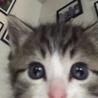 😳 emoji попе :: @gptVPNrbot Telegram sticker 14 of 16