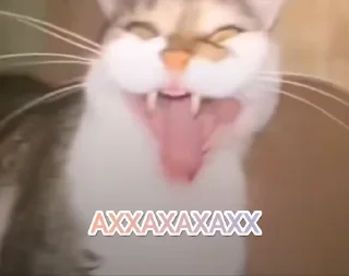 Sticker from Купиберас