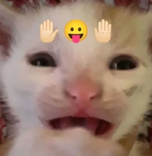 😝 emoji котики Telegram sticker 11 of 41