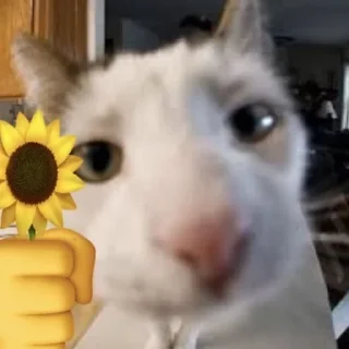 💐 emoji котики Telegram sticker 8 of 41