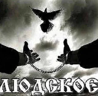 Sticker from Людское