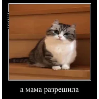 🤿 emoji Больше стиков тут: @stikery4 Telegram sticker 12 of 40