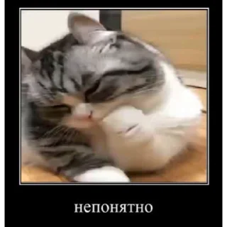 🤿 emoji Больше стиков тут: @stikery4 Telegram sticker 5 of 40
