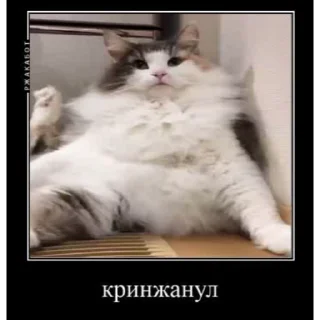 🤿 emoji Больше стиков тут: @stikery4 Telegram sticker 23 of 40